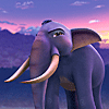 Jumbo14